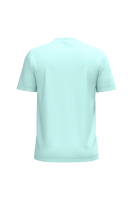 Ice Mint