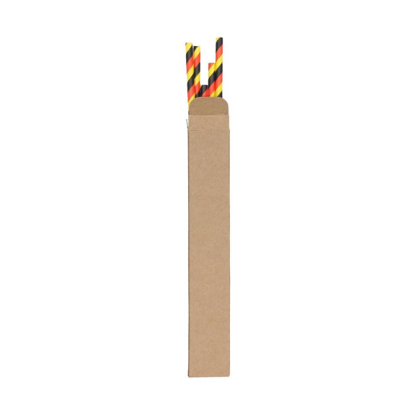 Fanpapierstrohhalm Deutschland, 11er Set