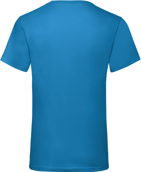 - Men's Valueweight V-neck T-shirt (61-066-0)